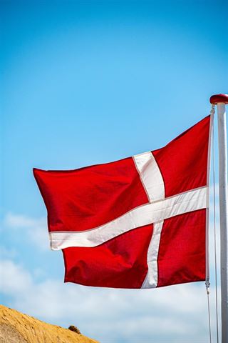 Langkilde & Søn har Dannebrog til juletræ