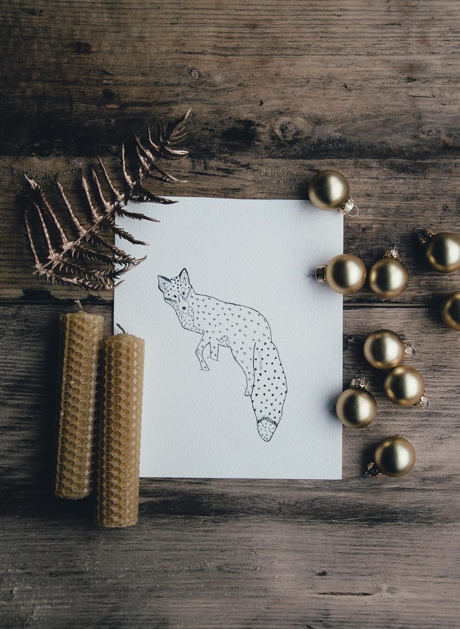 Bees wrap – populært produkt med et hav af muligheder